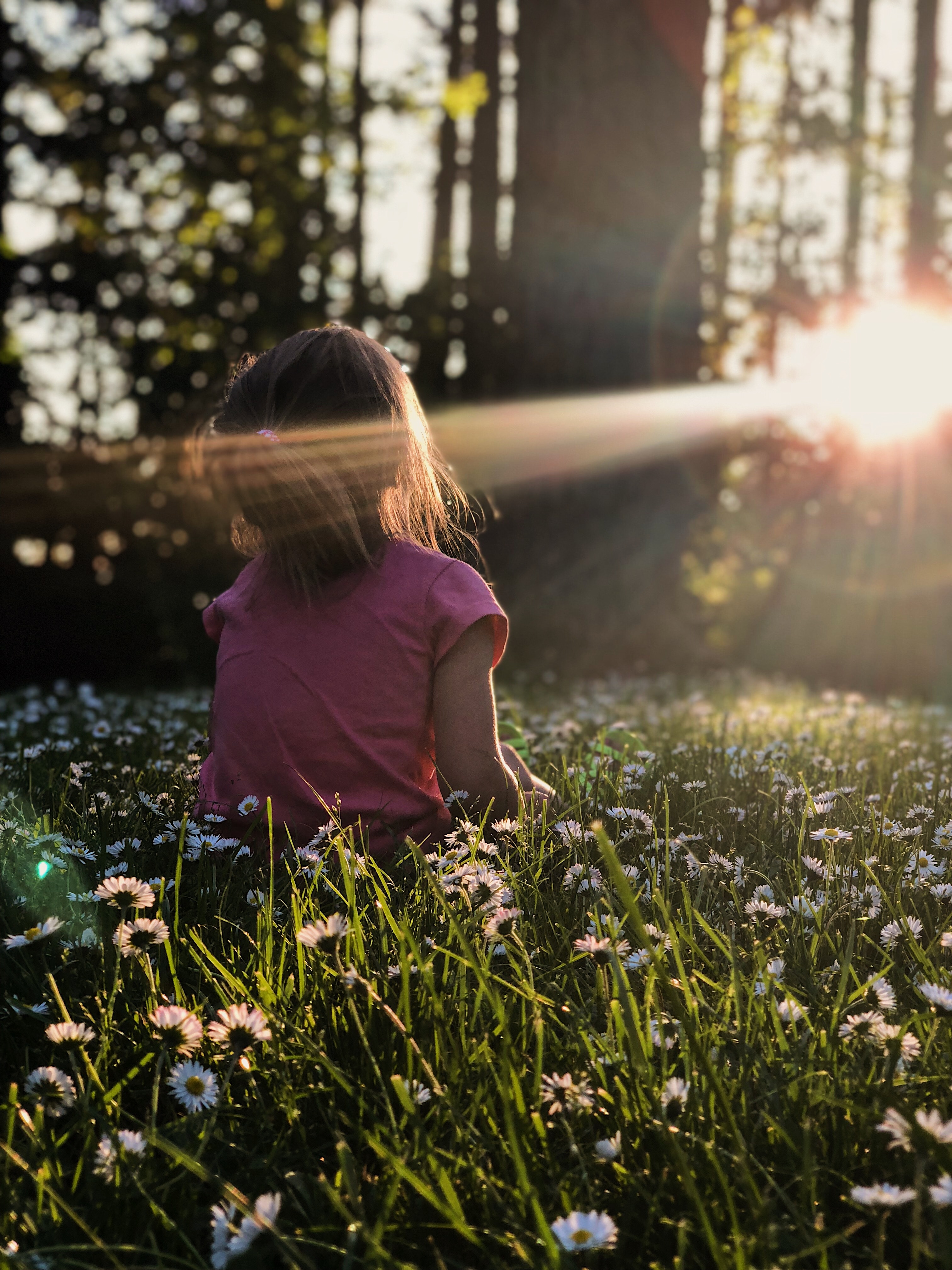 Young girl sitting in a field